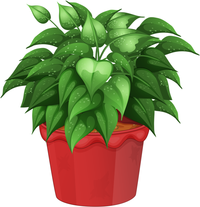 Pot Image, Flower Clipart, Flower Pots, Potted Flowers, - Flower In Pot Png (724x800), Png Download