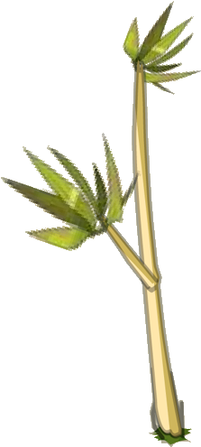 49, October 3, 2008 - Bambu Png (500x500), Png Download