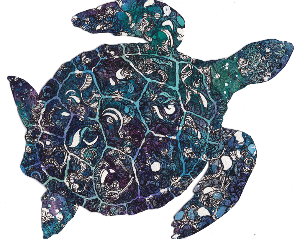 Frisket Turtle (1000x809), Png Download