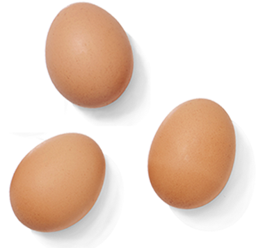 Eggs Clover Sonoma Pasture Raised Eggs - Brown Eggs Png (595x358), Png Download