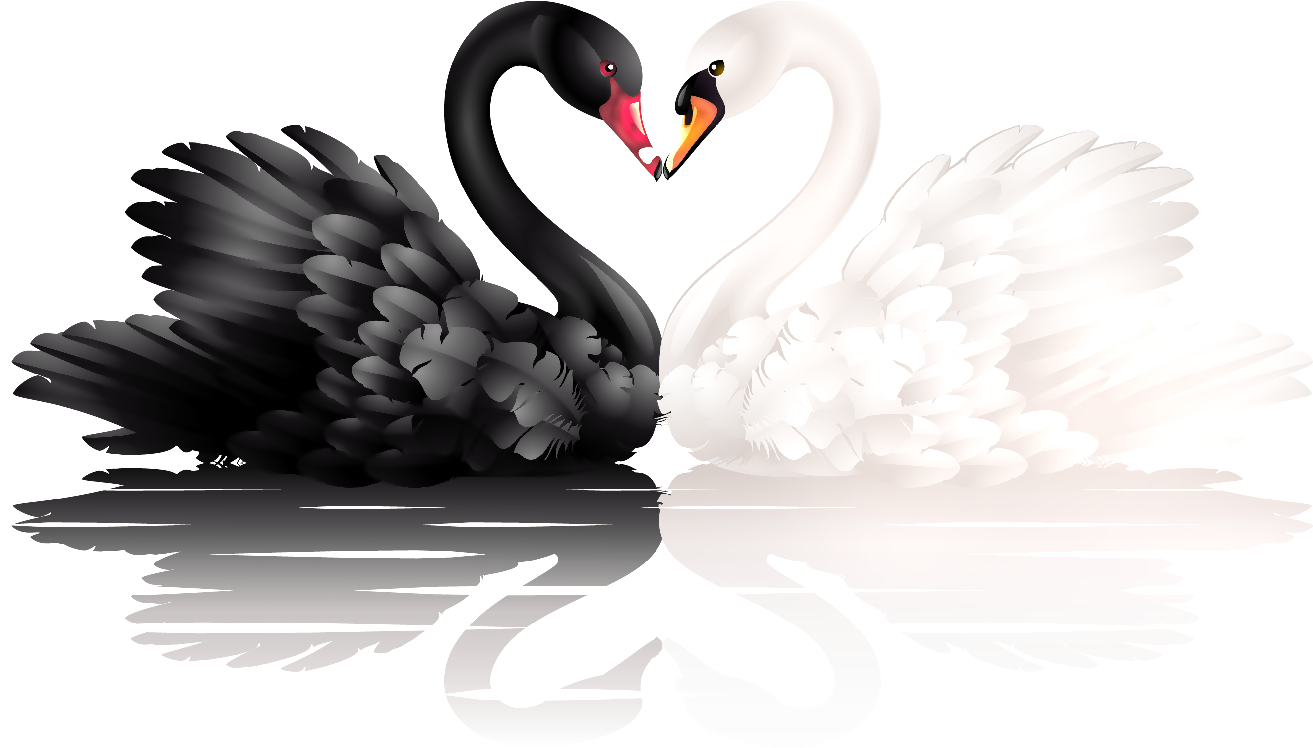 Swan Png (2748x1698), Png Download