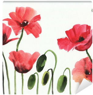 Watercolor Painting Of Red Poppies Wall Mural • Pixers® - Papavero Watercolor (400x400), Png Download