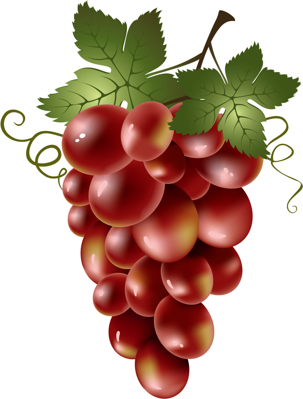 Яндекс - Фотки - Red Grapes Clip Art (1003x1280), Png Download