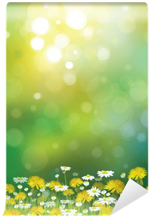 Vector Sunshine Background With Chamomiles And Dandelions - Komar Wall Mural Xxl (400x400), Png Download