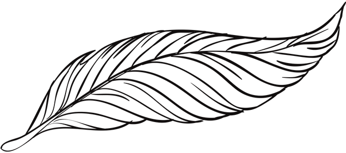 Pen Feathers Bird Animal Beautiful Peacock - ขน นก วาด (680x340), Png Download