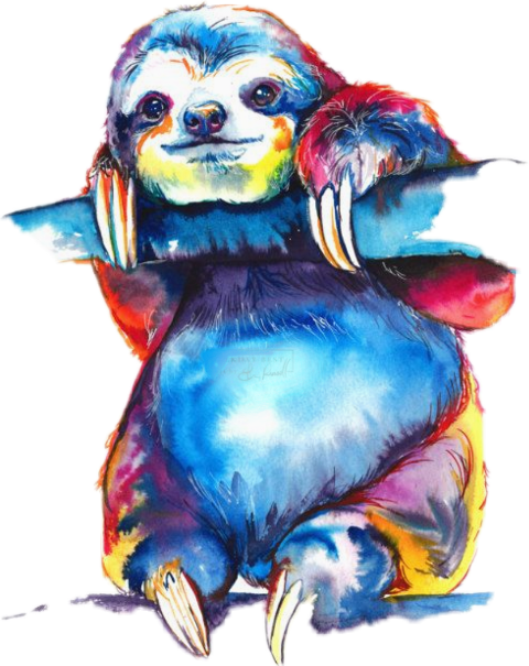 Colorful Sloth (480x605), Png Download