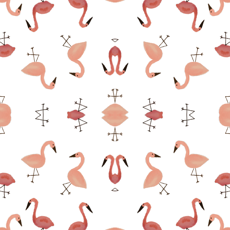 Greater Flamingo (800x800), Png Download