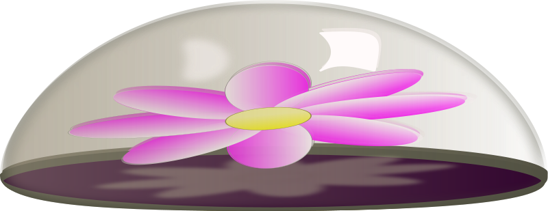 Flower In Glass Paper Weight Free Vector - Paper Weight Clipart (800x309), Png Download