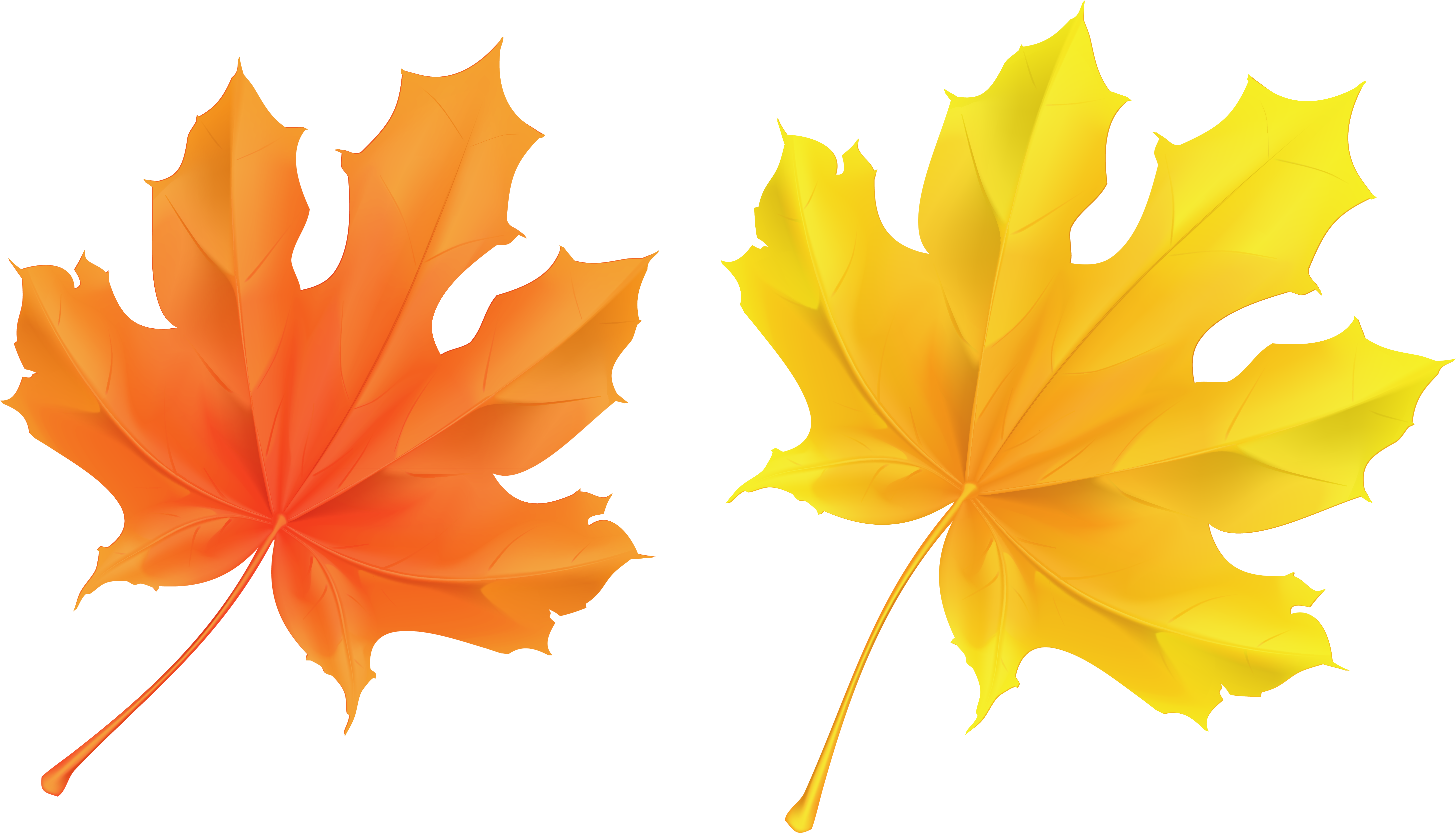 Leaves Clipart Transparent - Orange Leaves (5946x3374), Png Download