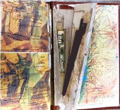 The Craziest Stuff People Tried To Sneak Onto Aeroplanes - Airport (640x351), Png Download