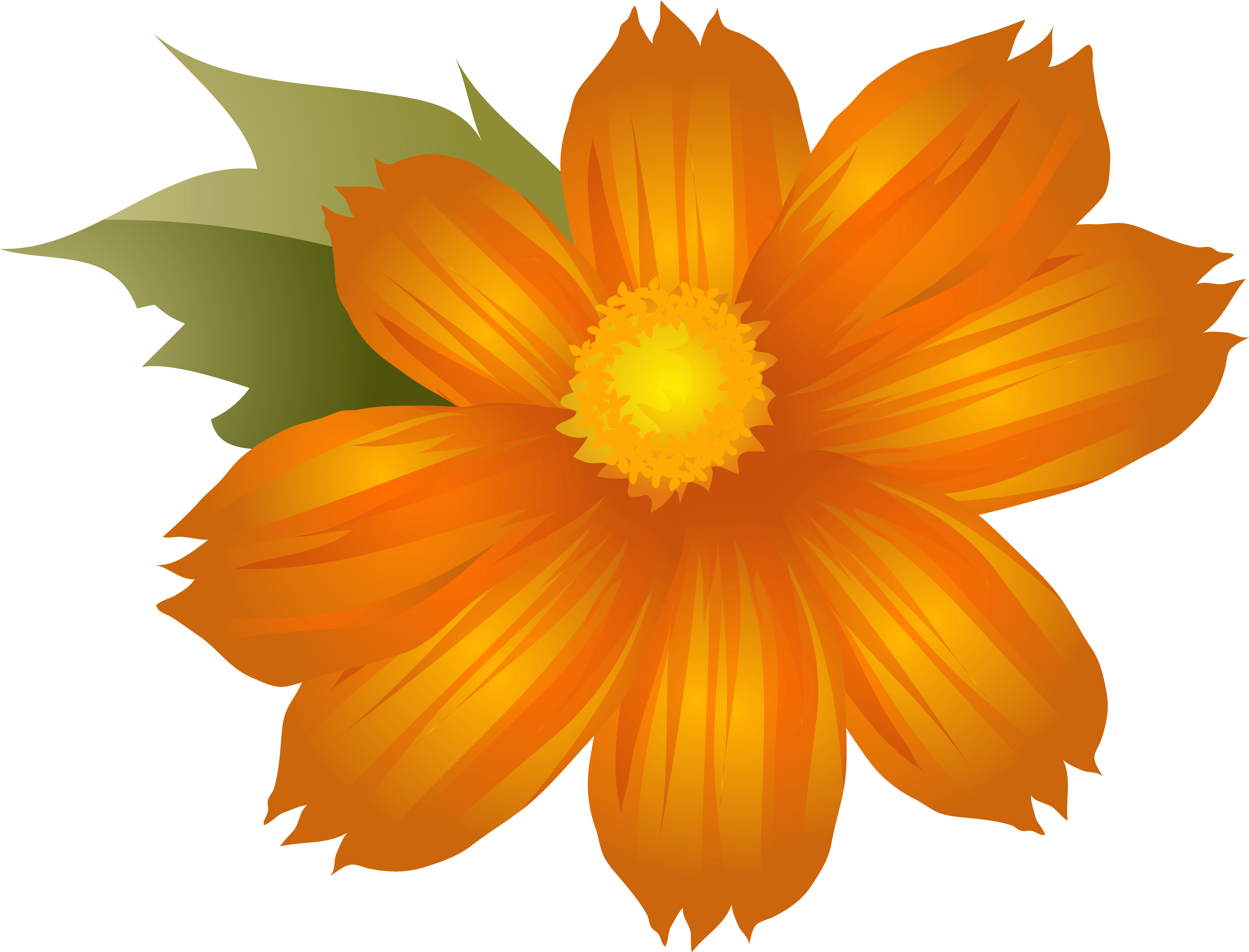 Png Clip Art Image Gallery Yopriceville High - Flower (6284x4790), Png Download