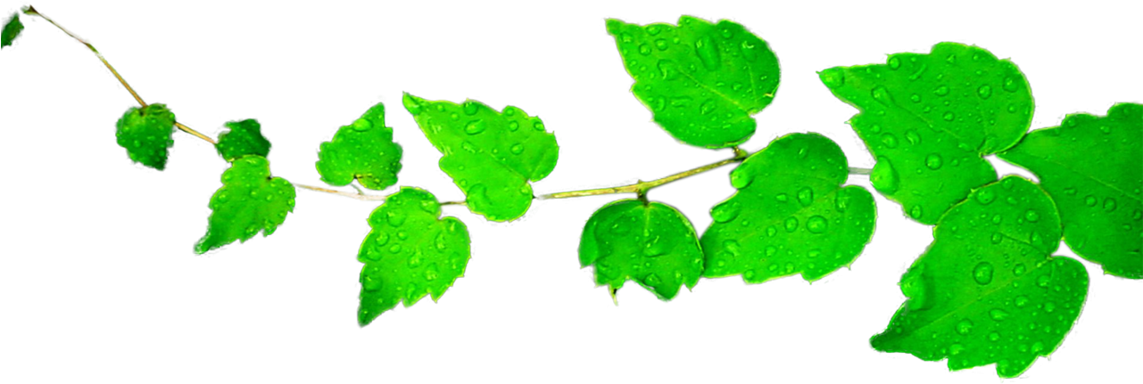 Falling Green Leaves Clip Art - Falling Green Leaves Png (1280x439), Png Download
