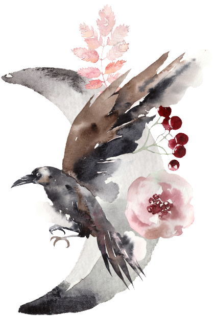 Magnificent Bird Watercolor - Watercolor Painting (1024x1024), Png Download