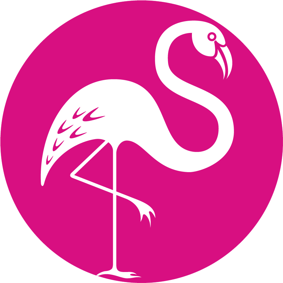 Pink Flamingo Certification - Pink Flamingo Miami (938x938), Png Download