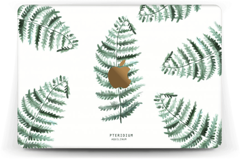 Pteridium Aquilinum Skin Macbook 12” - Macbook Pro 13-inch (800x563), Png Download