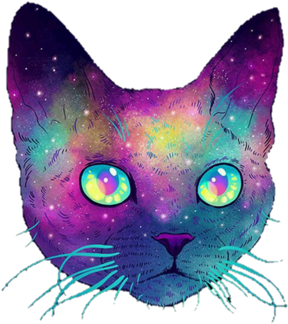 Cat And Galaxy Image - Galactic Cats (500x556), Png Download