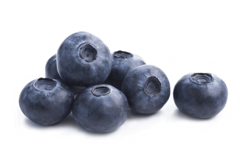 Single Blueberry Png - Metabolic Nutrition, P.s.p Pre-workout, Fruit Punch, (800x500), Png Download