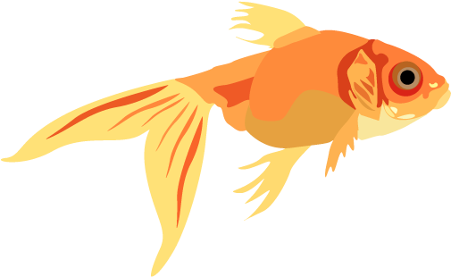 Vector Illustration- Portrait - Goldfish (600x600), Png Download