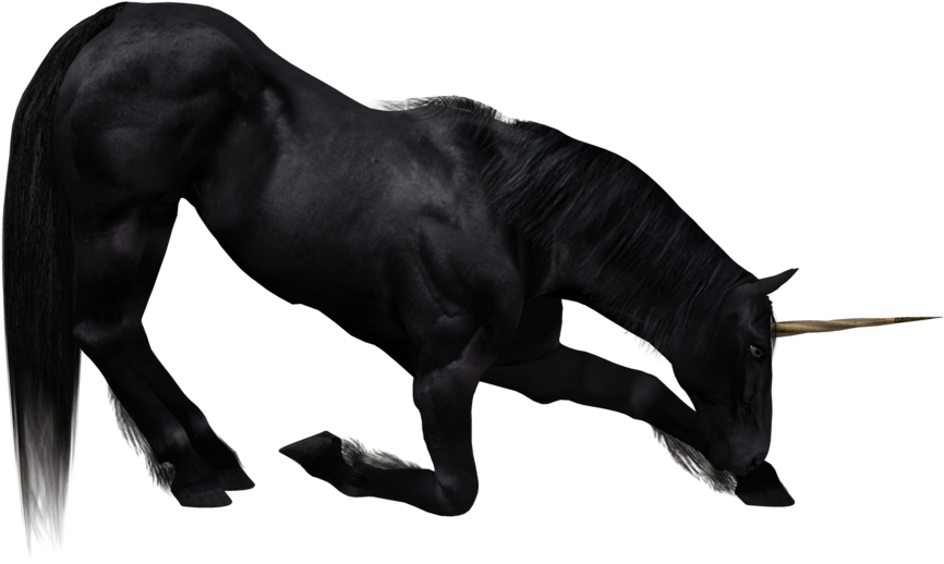 Horse (1024x645), Png Download
