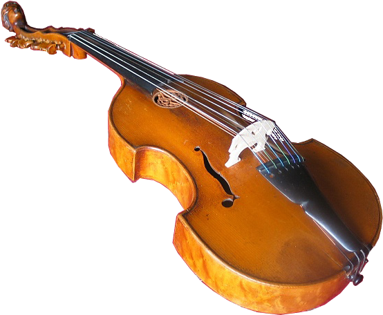 This Luminescent Album Brings Us Straight Into Its - Viola D Amore (567x462), Png Download