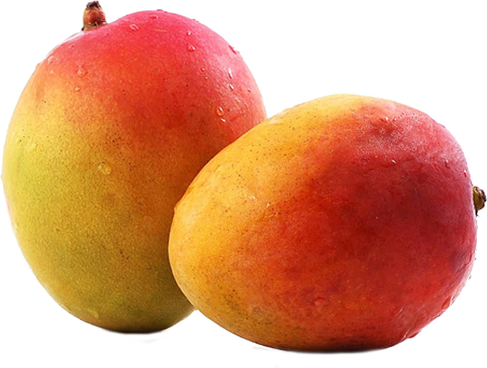 Download (1748x1240), Png Download