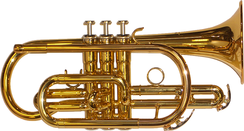 Brass Band Instrument Png Picture - Cornet Png (850x455), Png Download