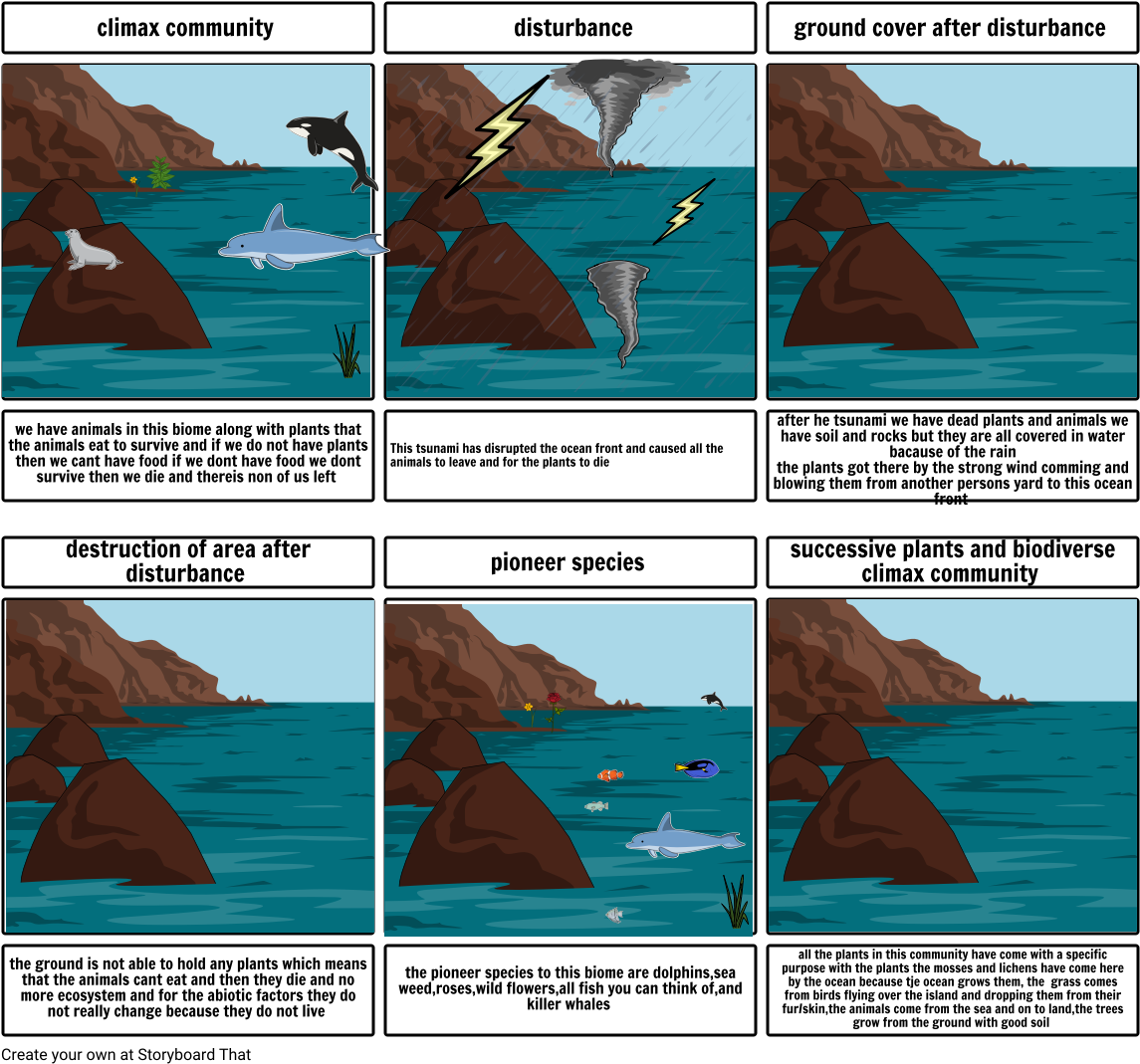 Science Project Ocean - Science Project (1164x1086), Png Download