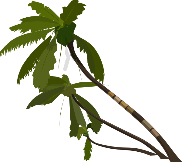 Palm Tree Vector Png,vector Shapes Indesign,free Vector - Animated Palm Tree Png (600x533), Png Download