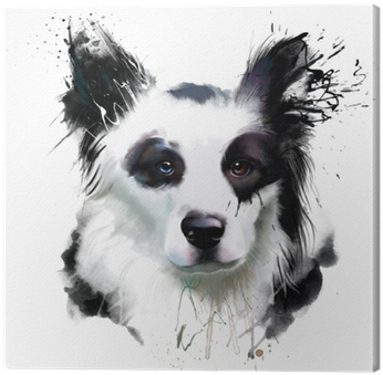 Watercolor Dog Portrait Of A Border Collie, Closeup - Collie (400x400), Png Download