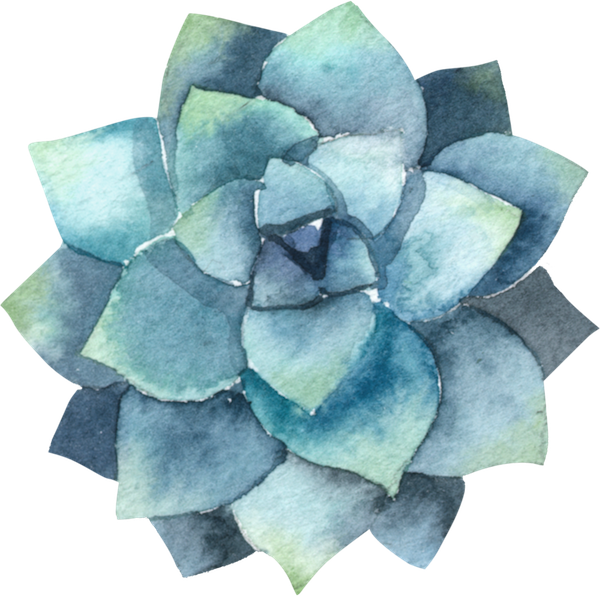 Papersphinx Succulents 16 - All The Boys I Loved Before Iphone (600x596), Png Download