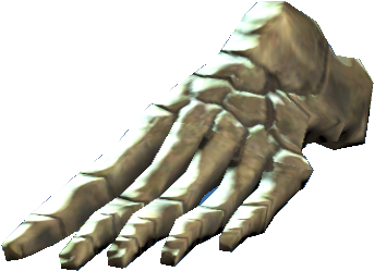 Left Foot Bones - Portable Network Graphics (413x359), Png Download