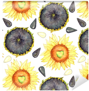 Sunflower Blooming, Ripe Head And Seeds, Seamless Pattern - Seed (400x400), Png Download