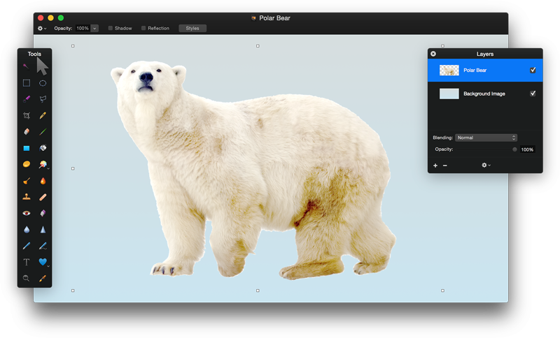 Download Polar Bear Png Clipart Hq Png Image - Polar Bear (800x484), Png Download