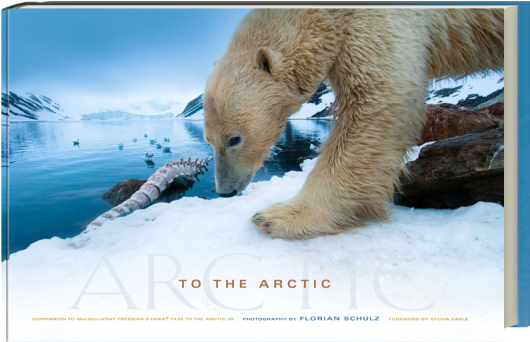 To The Arctic - Arctic (600x391), Png Download