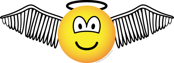 Winged Angel With Halo Emoticon - Engel Emoticon (599x219), Png Download