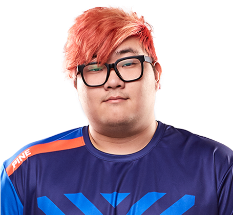 Pine New York Excelsior (454x454), Png Download