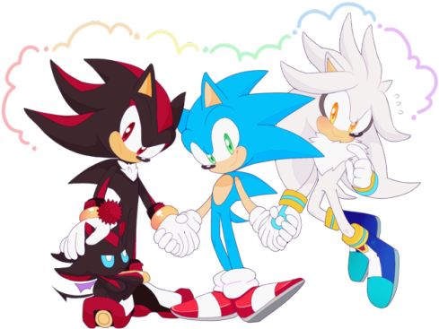 ¯\ /¯ Sometimes A Family Can Be 3 Hedgehogs And A Chao - Video Game (500x381), Png Download