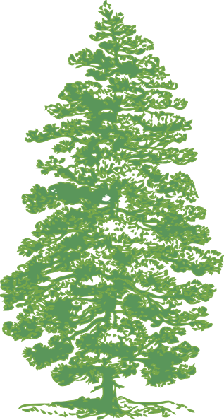 Pine Tree Vector Png - Cafepress Shady Pines Golden Girls Tile Coaster (318x594), Png Download