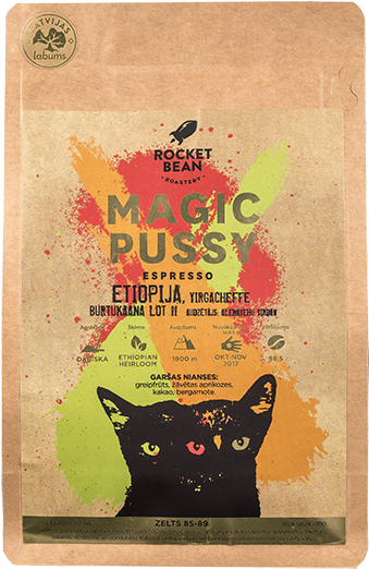 Black Cat (1000x667), Png Download