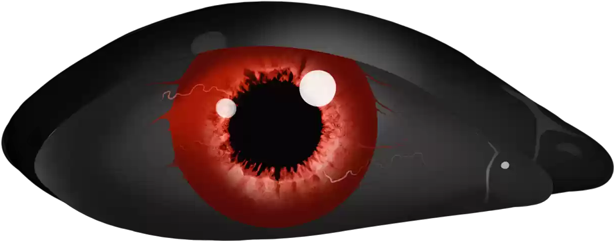 Scary Eyes - Mouse (1600x1200), Png Download