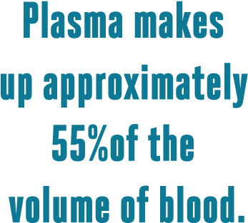 Plasma - Test (360x336), Png Download