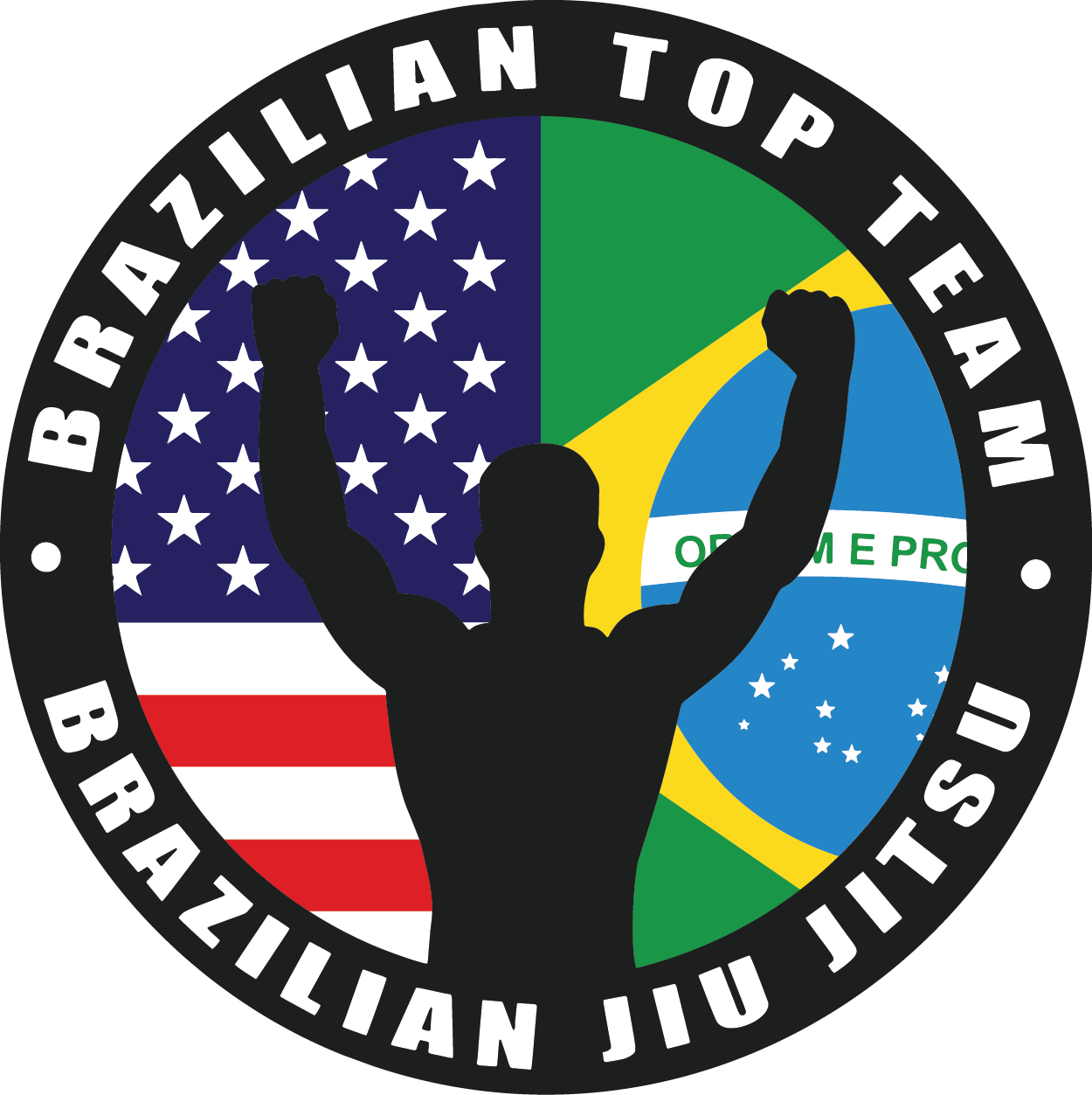 Brazilian Top Team Boca Raton Logo - Brazilian Top Team Logo (1250x1253), Png Download