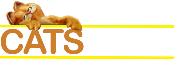 Www - Catscase - Com - Drop Better Than Gaben - Crispy Fried Chicken (672x226), Png Download