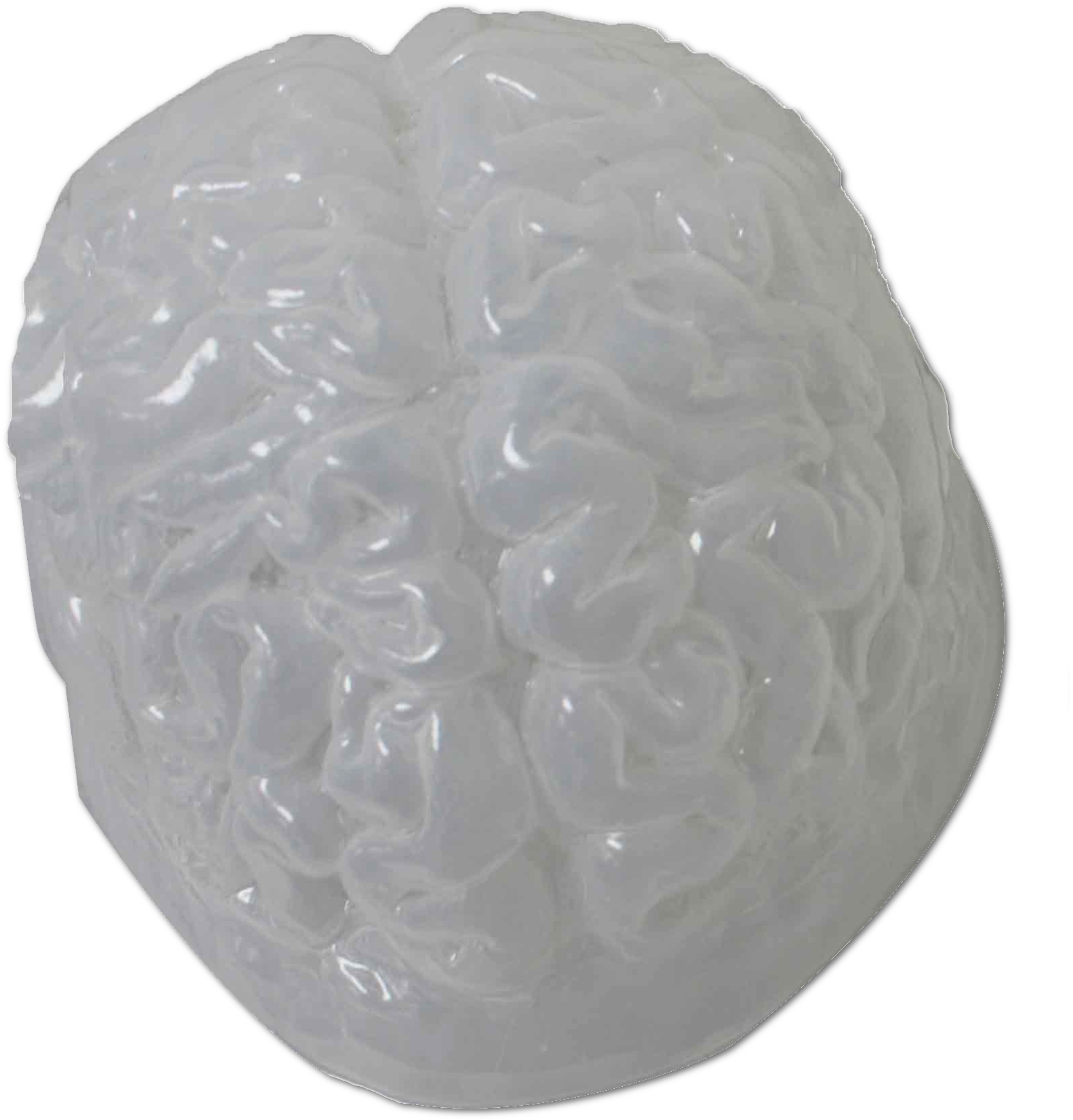 Continue Shopping - Gelatin Brain Mold (1684x1805), Png Download