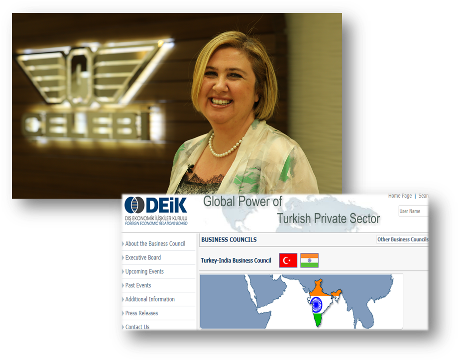 Canan Çelebioğlu (938x739), Png Download