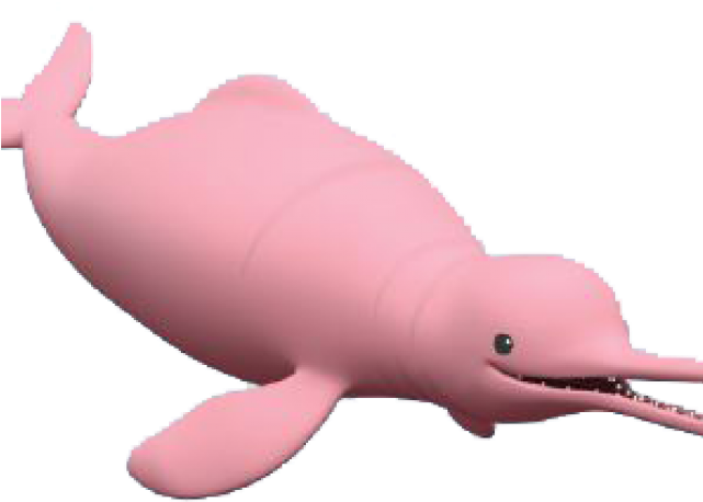 Platypus Octonauts (640x480), Png Download