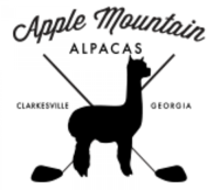 Alpacas For Sale In Ga - Scrapbook Customs State Sightseeing Massachusetts Stickers (700x606), Png Download