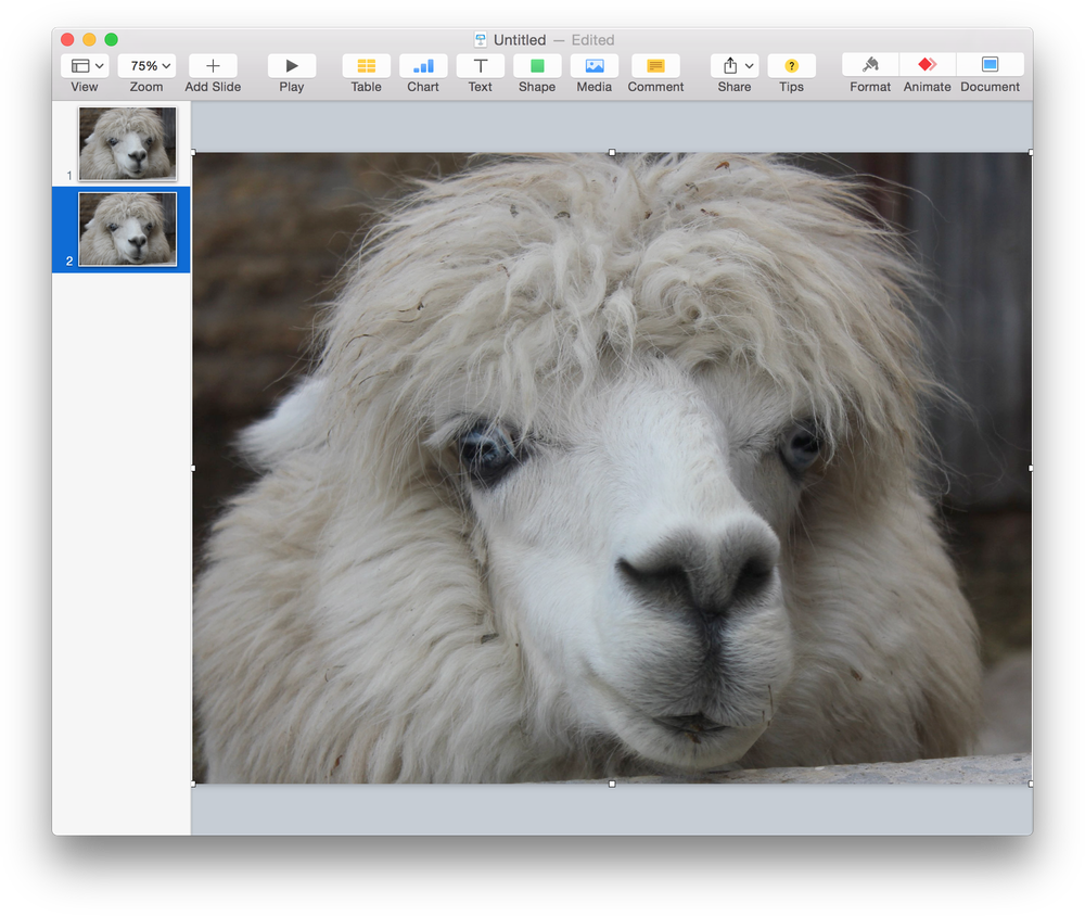 Screen Shot 2015 06 01 At - Alpaca: Journal Log Doodle Sketch Drawing Notebook (1000x844), Png Download