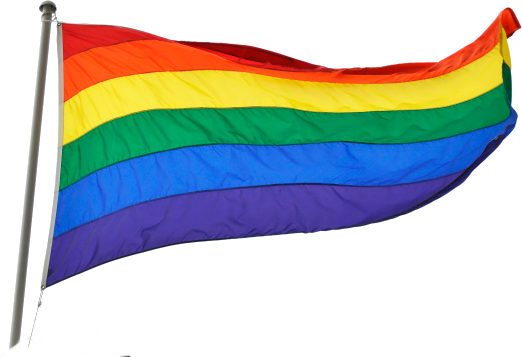 Gay Flag Png (522x357), Png Download