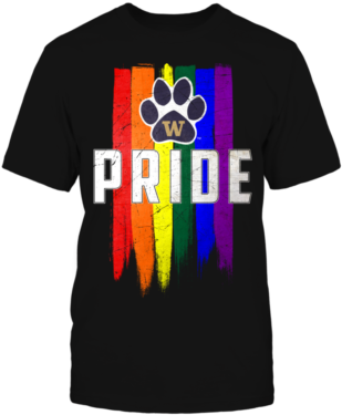 Grunge Lgbt Pride Flag Washington Huskies T Shirt - Lgbt Pride Apparel 2018 Sweaters (400x400), Png Download